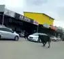 Batman Sanayi Sitesi'nde İnek Panik Yaratıtı!