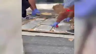 Batman'da 13 Kilo Skunk Ele Geçirildi!