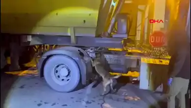 Batman'da 3 Kilo Metamfetamin Ele Geçirildi