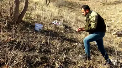 Gercüş'te Kışın Lezzeti: Meşe Palamudu Hasadı