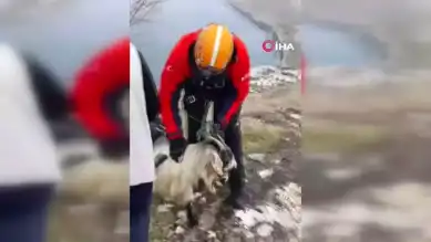 1500 Metrede Keçi Kurtarma Operasyonu