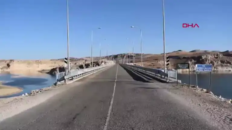 Doğu Anadolu'da Nehirde Toplu Balık Ölümü: Nitrit Zehirlenmesi